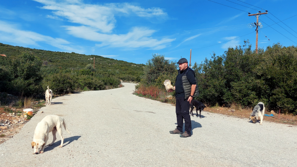 In unsere Vanlife in Bulgarien versorgen wir die Straßenhunde